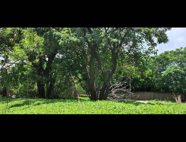 FARM FOR SALE IN GERARDSVILLE